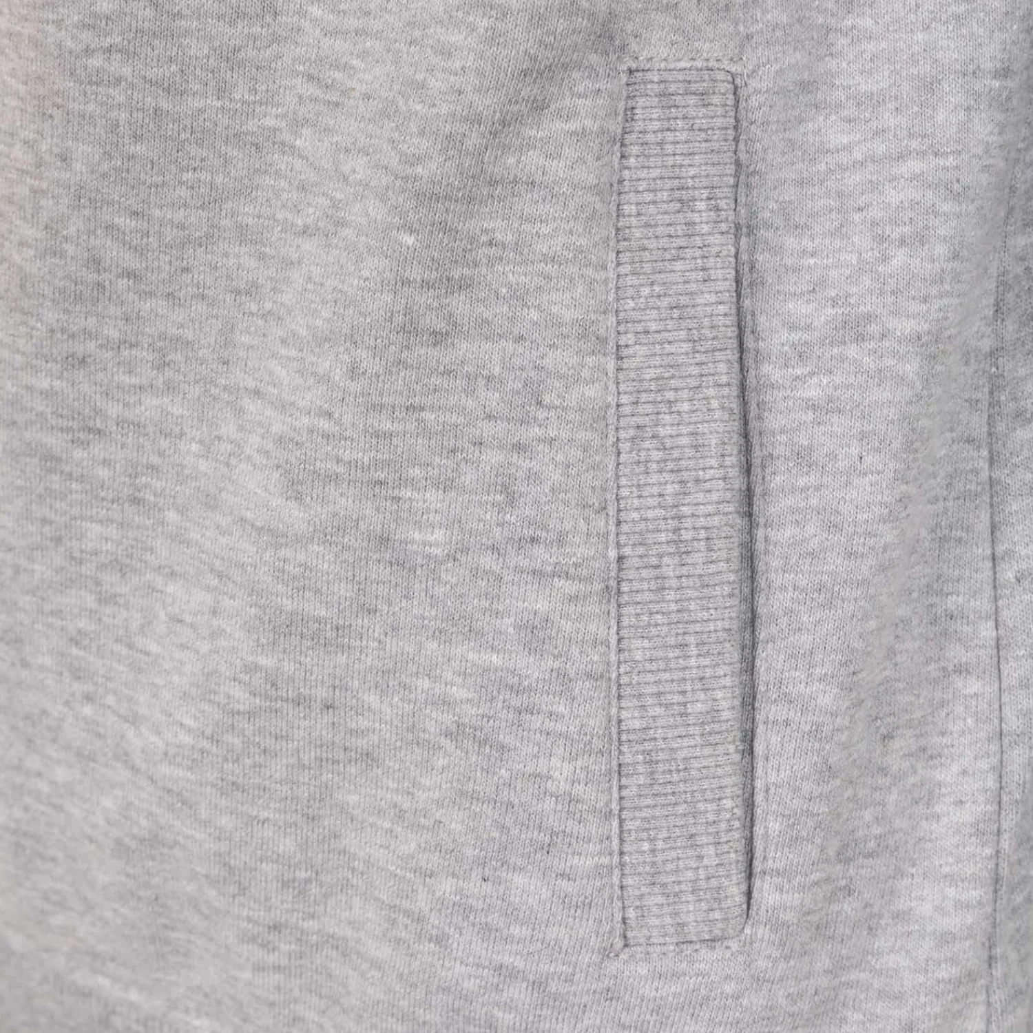 T&F Veste à Capuche Essentials Gris Clair Femmes^Femme Sweats